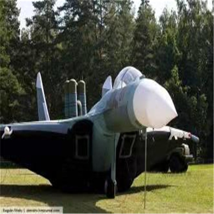 上林充气模型飞机制造商家